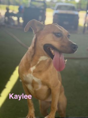 Kaylee, Young Female unknown