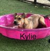 Kaylee photo 3