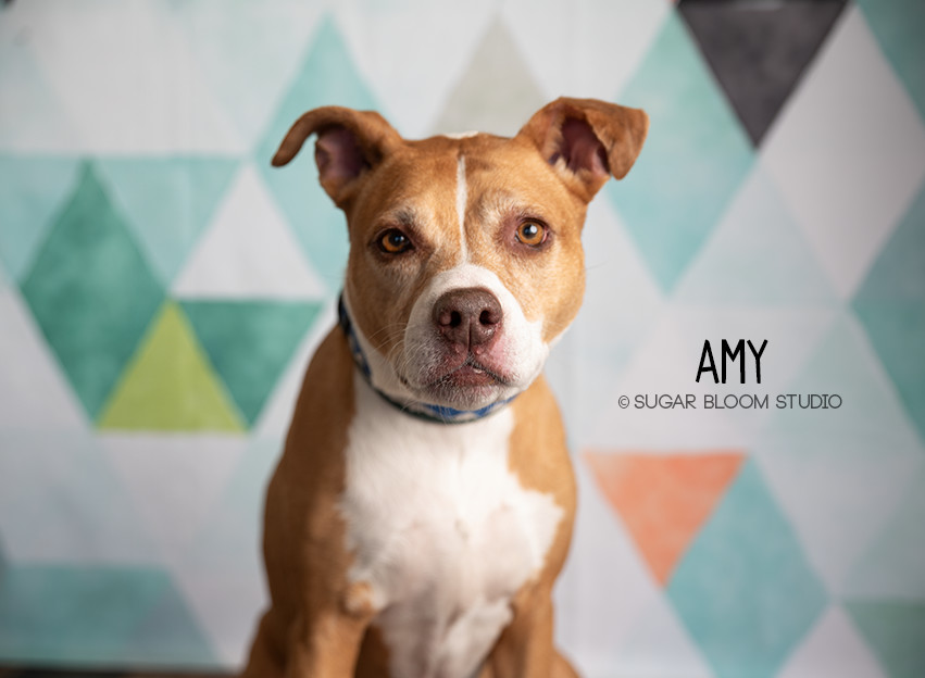 Amy