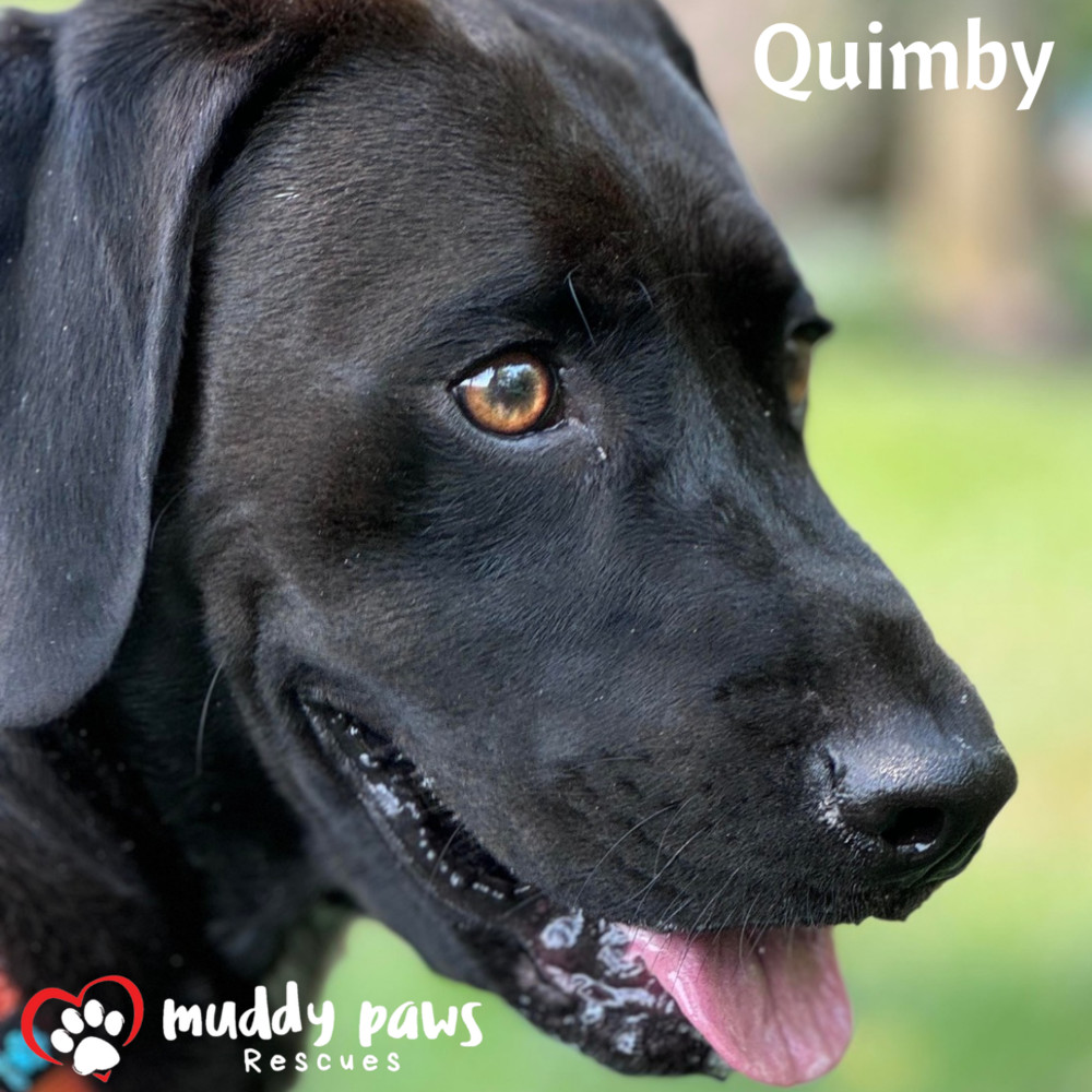 Quimby