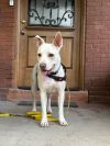 Lilah photo 1