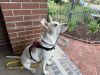 Lilah photo 3