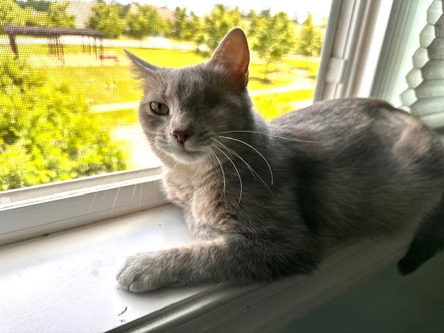 Inez 2