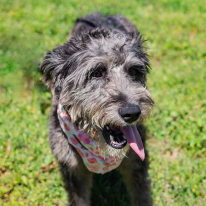Cammie photo 1