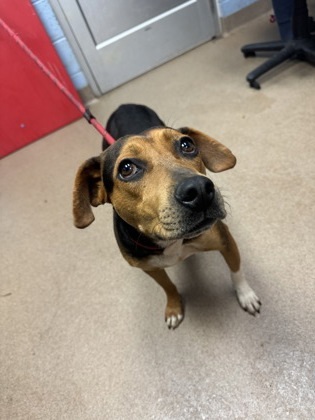Draya- In foster