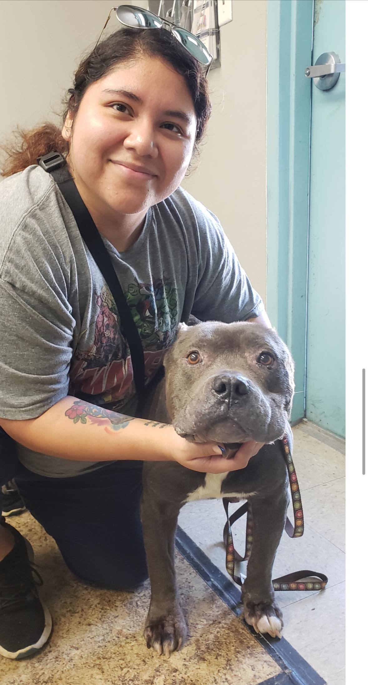 Atlas, an adoptable Pit Bull Terrier in Arlee, MT, 59821 | Photo Image 2