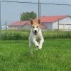 Molly photo 3