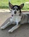 Lilly photo 2