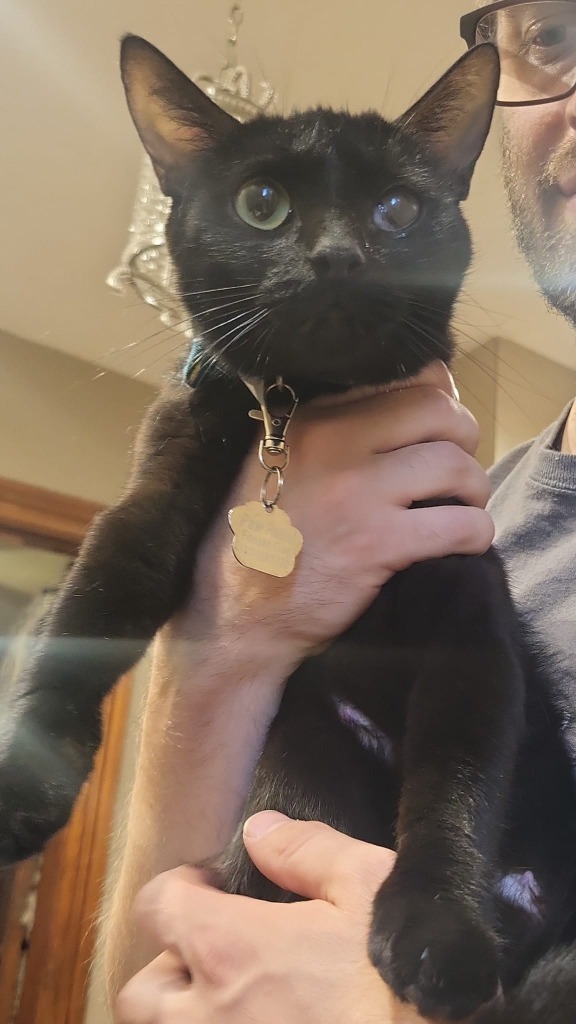 Alfredo