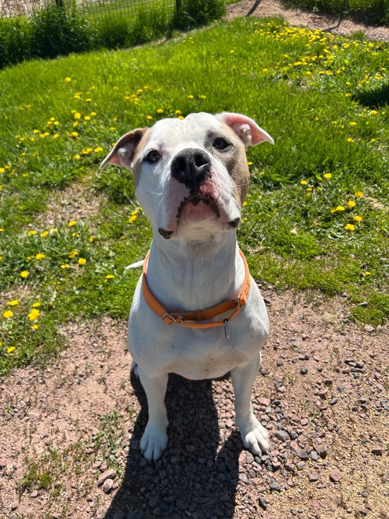 Buster