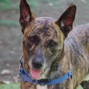 Hi my name is Arthur My family had health issues and couldnt take care of me anymore I am the