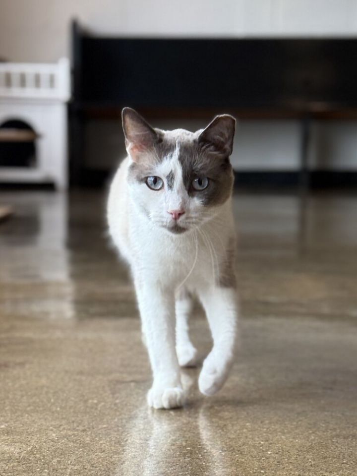 Stewart 1
