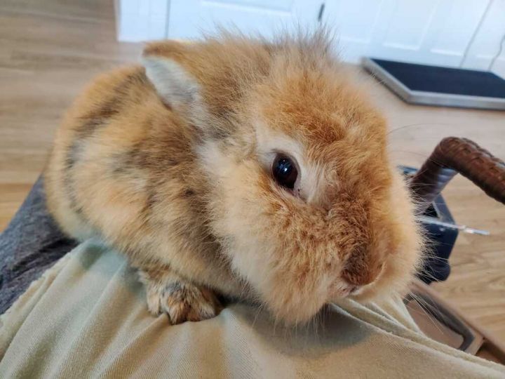 Ozzy & Harriet 5