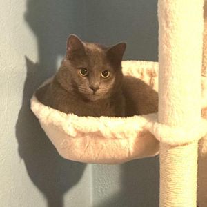 Jason Derulo (In Foster)