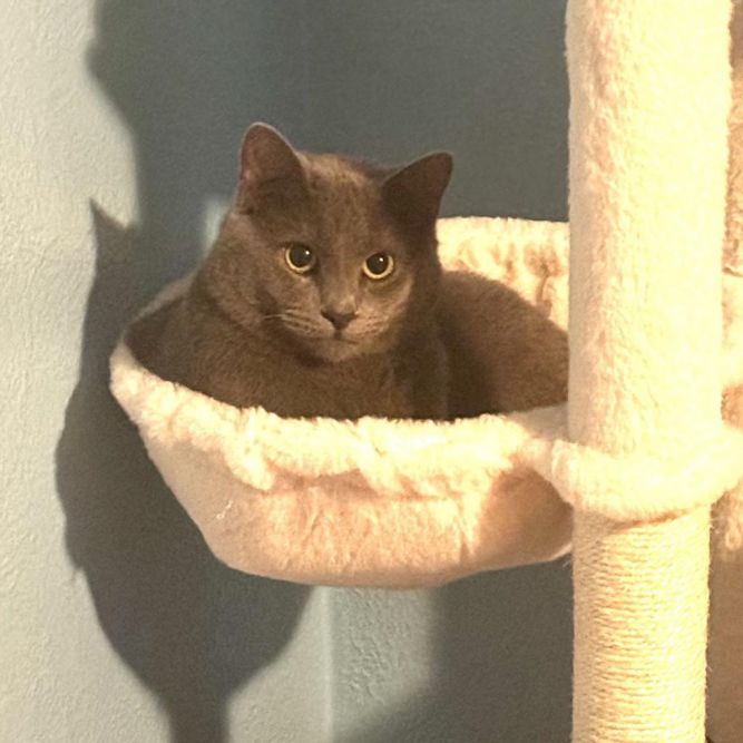 Jason Derulo (In Foster)