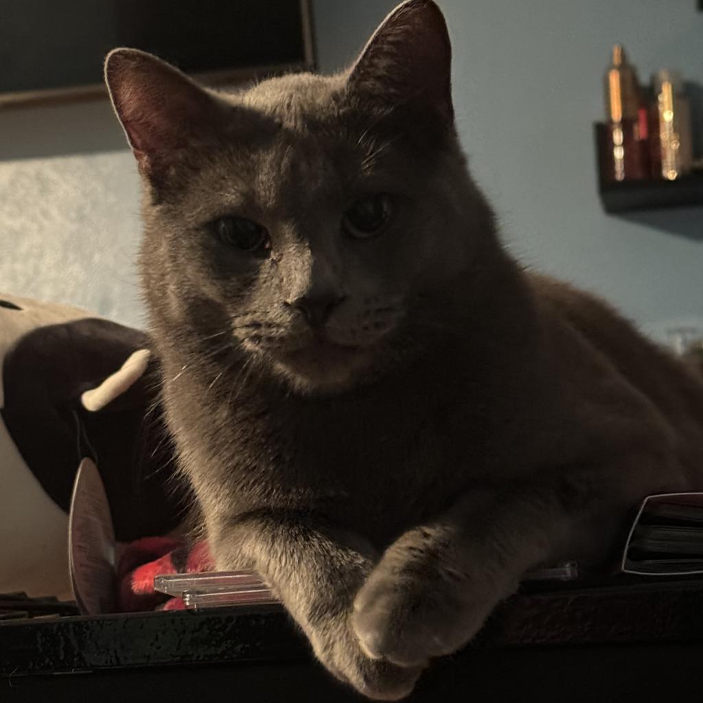 Jason Derulo (In Foster)