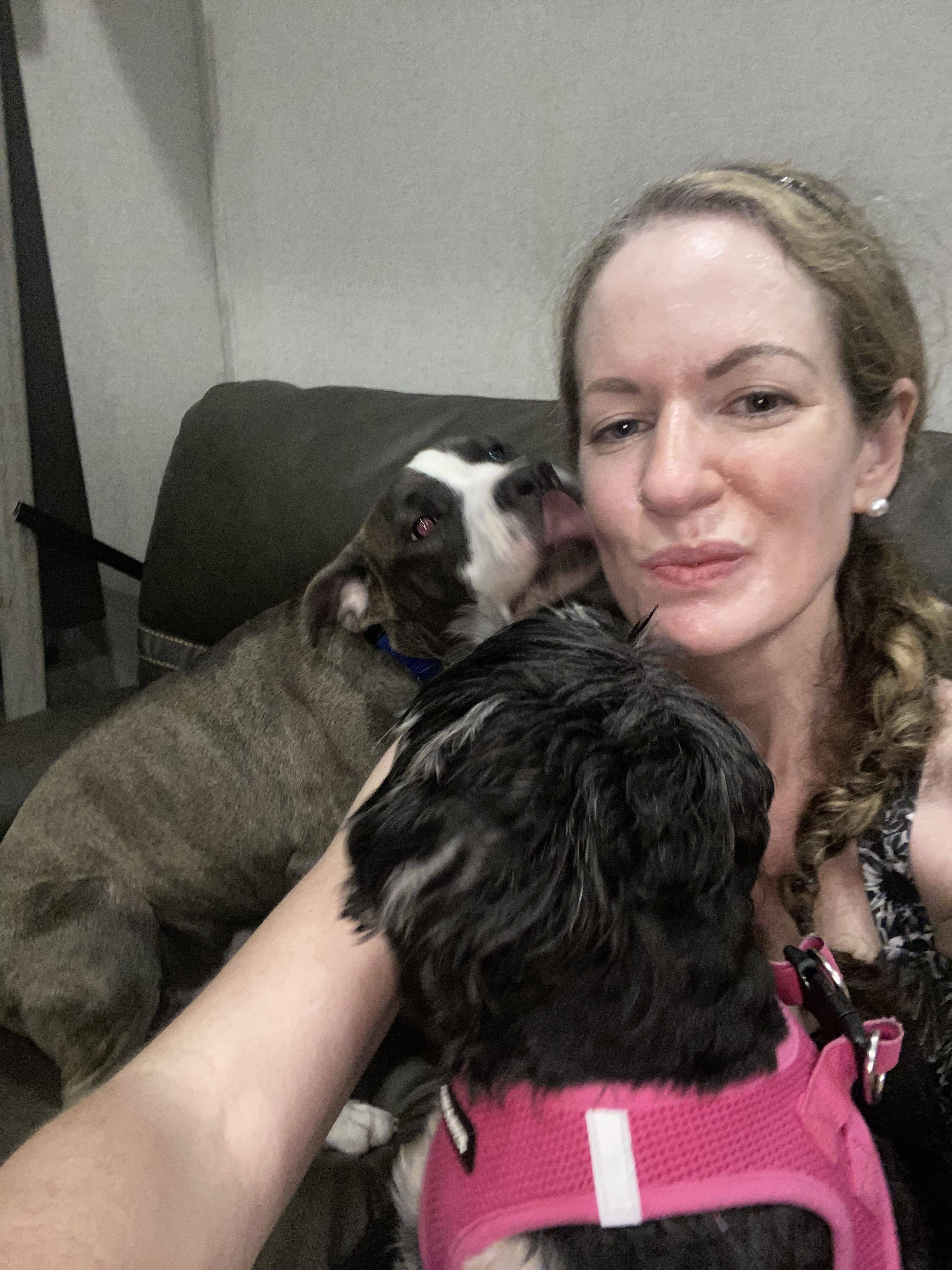 Miles, an adoptable American Staffordshire Terrier in Arlee, MT, 59821 | Photo Image 3