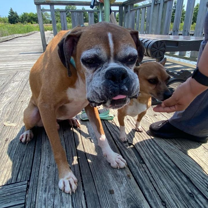 Wrigley *bonded with Biggie* 3