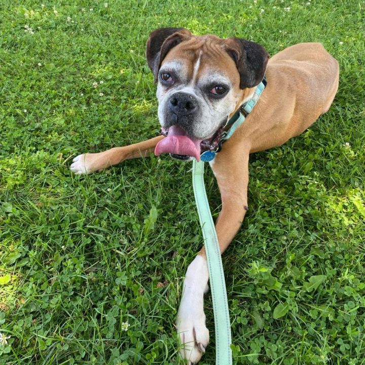 Wrigley *bonded with Biggie* 5