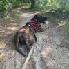 Mel photo 5