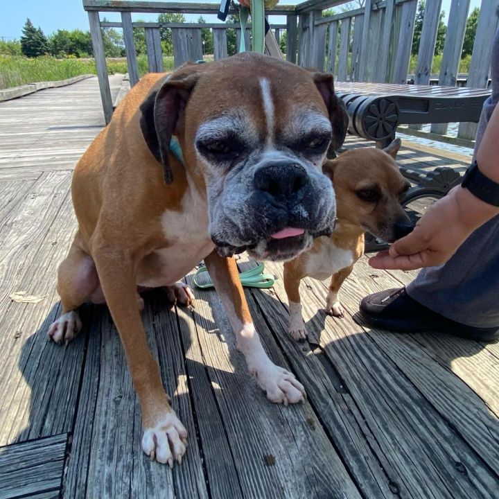 Biggie *bonded with Wrigley* 3