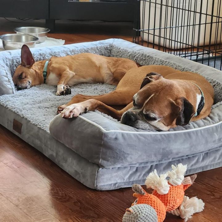 Biggie *bonded with Wrigley* 5