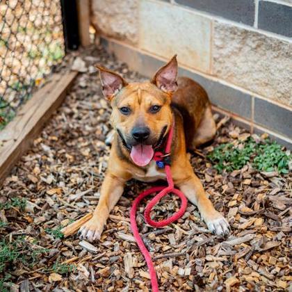 Wrigley - IN FOSTER 1