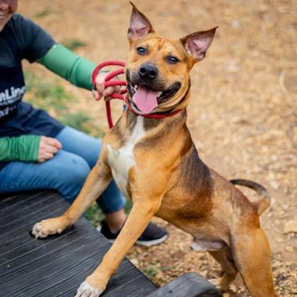 Wrigley - IN FOSTER 2