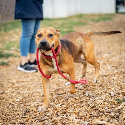Wrigley - IN FOSTER 3