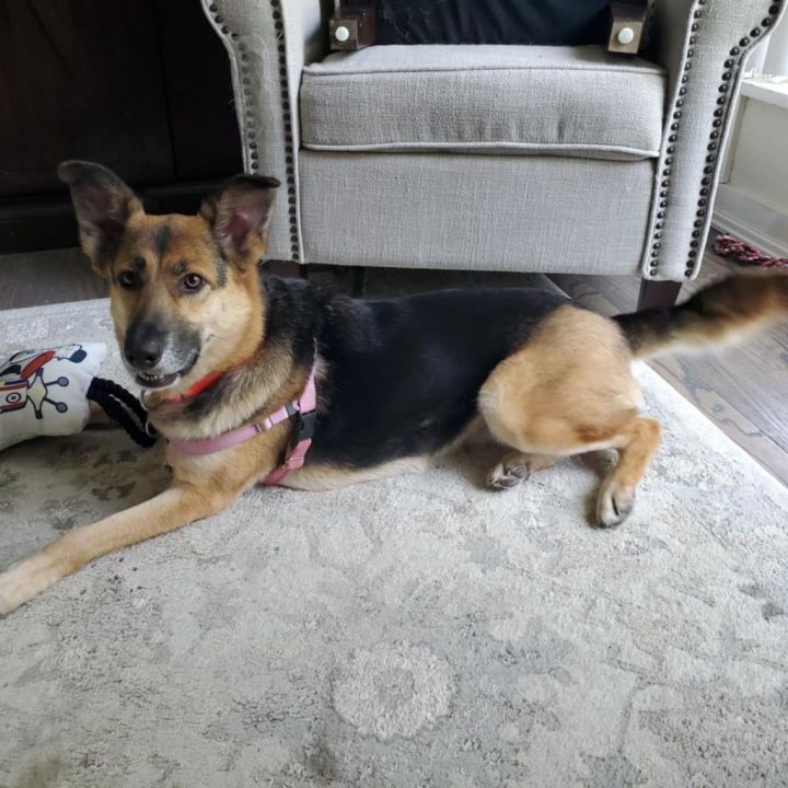 Bean aka "Baby Girl" 1