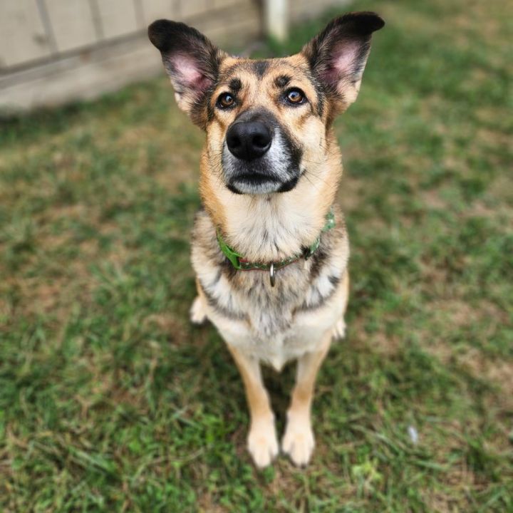 Bean aka "Baby Girl" 2