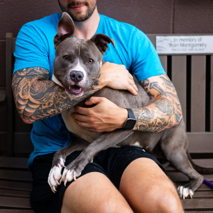 Remy - TA ADOPTED 2