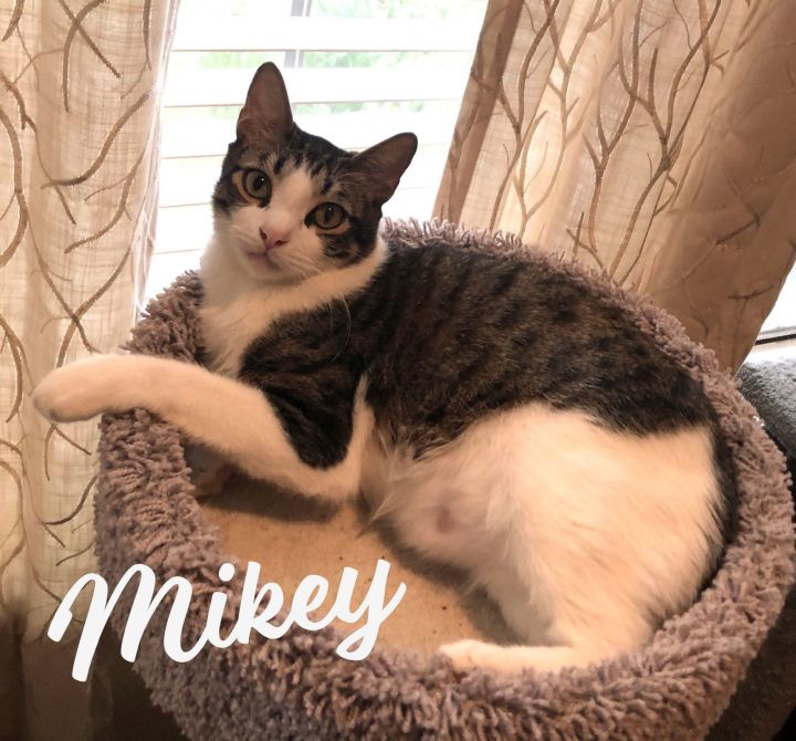 Mikey #he-eats-anything 2