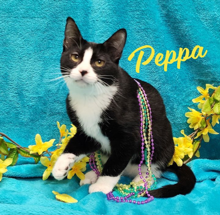 Peppa #loves-to-be-held 2