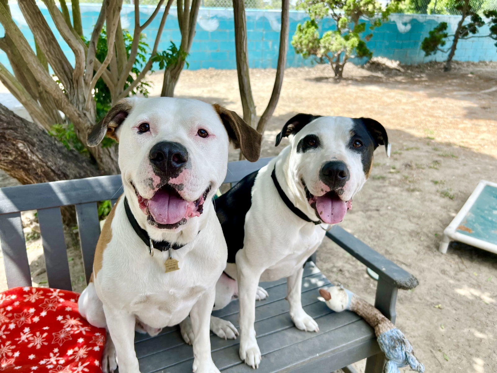 Bronson and Hardy
