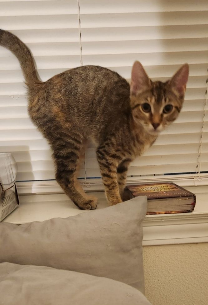 Chloe