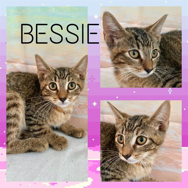 BESSIE