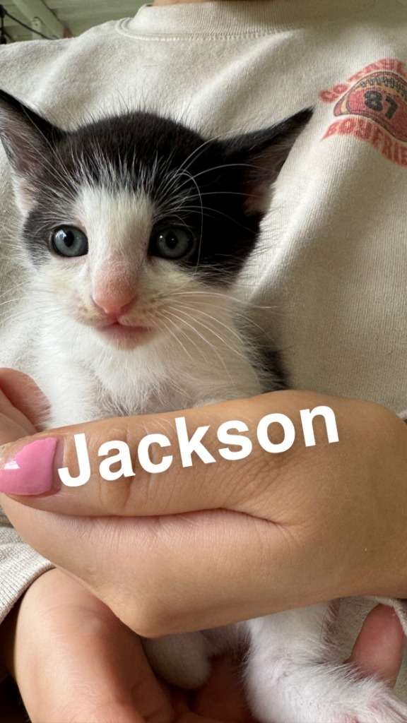 Jackson