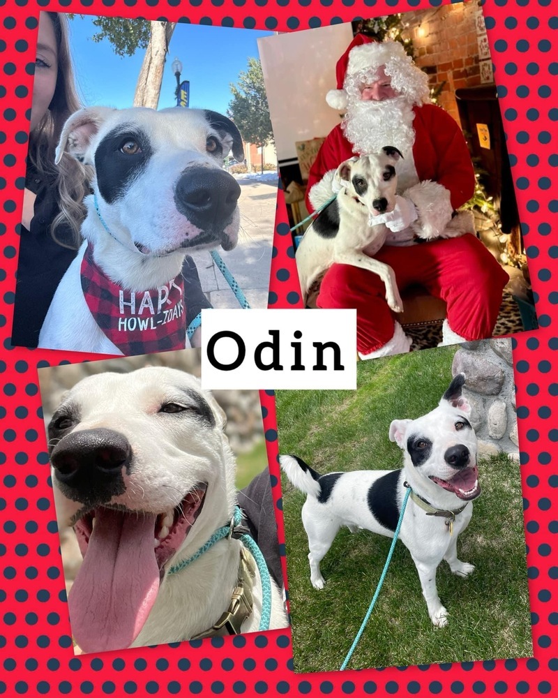 Odin