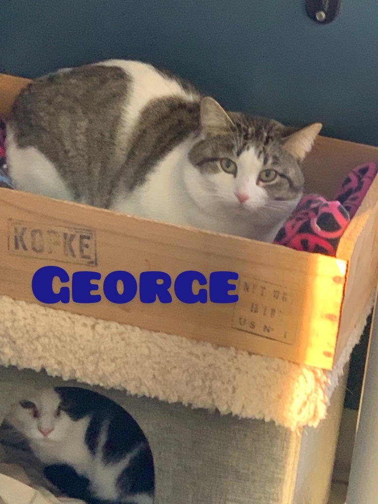 George