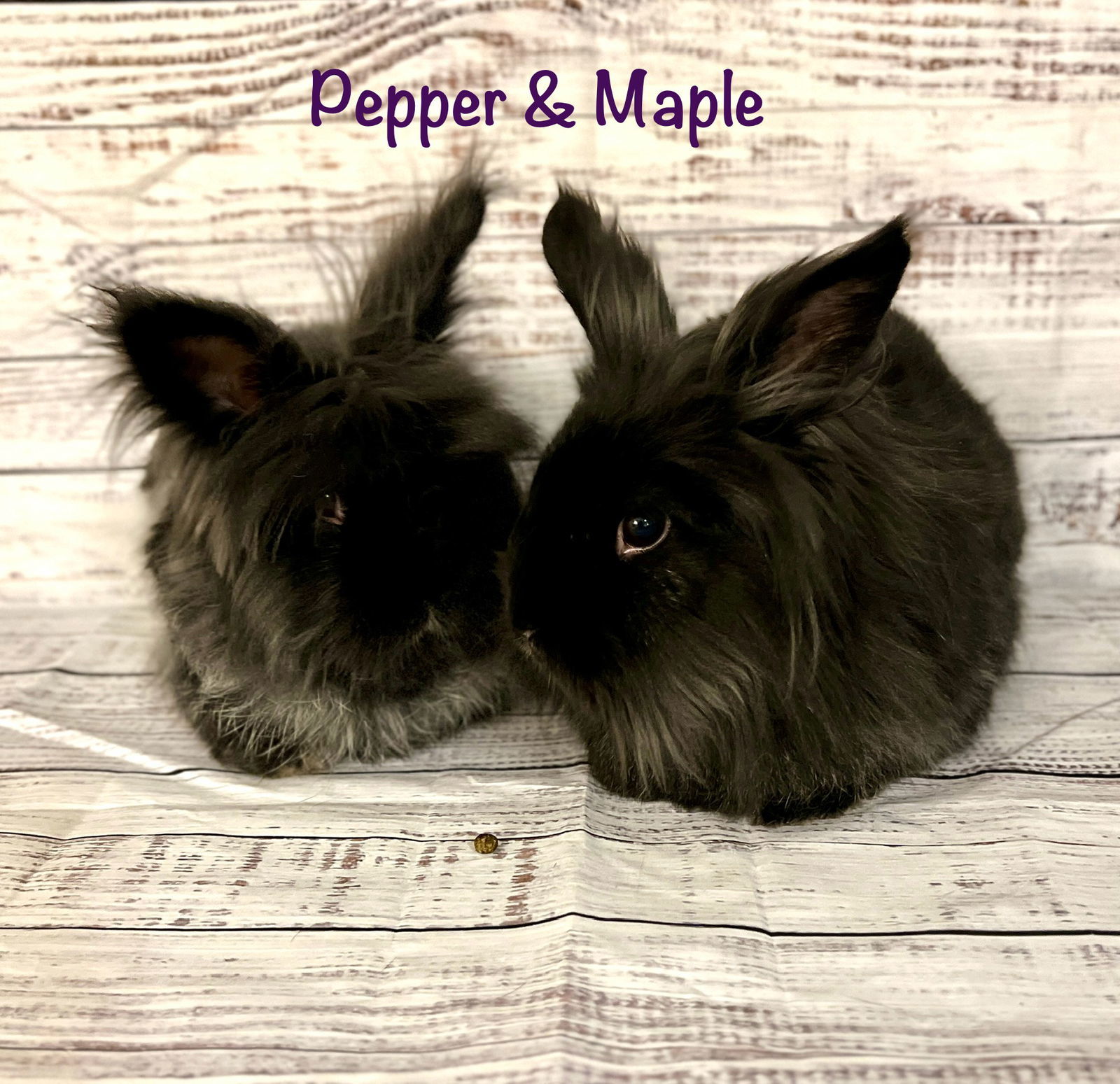 Pepper
