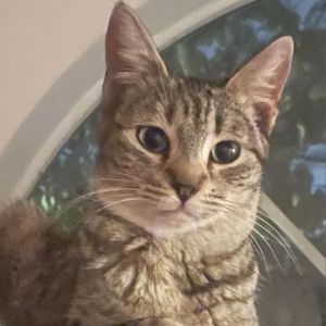 Mia is an adorable sweet petite little girl She was given to a man to help ke