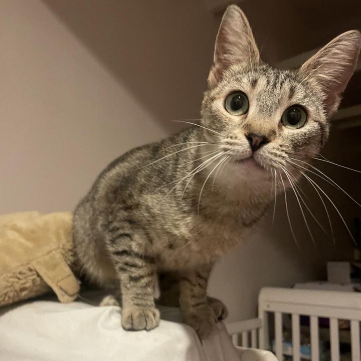 Mia 3