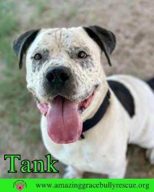 Tank