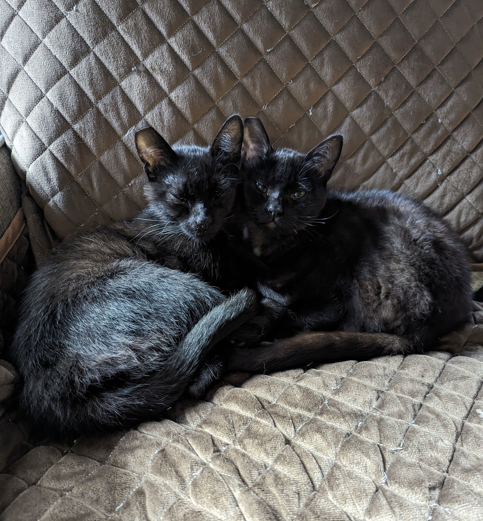 Mary and Winifred