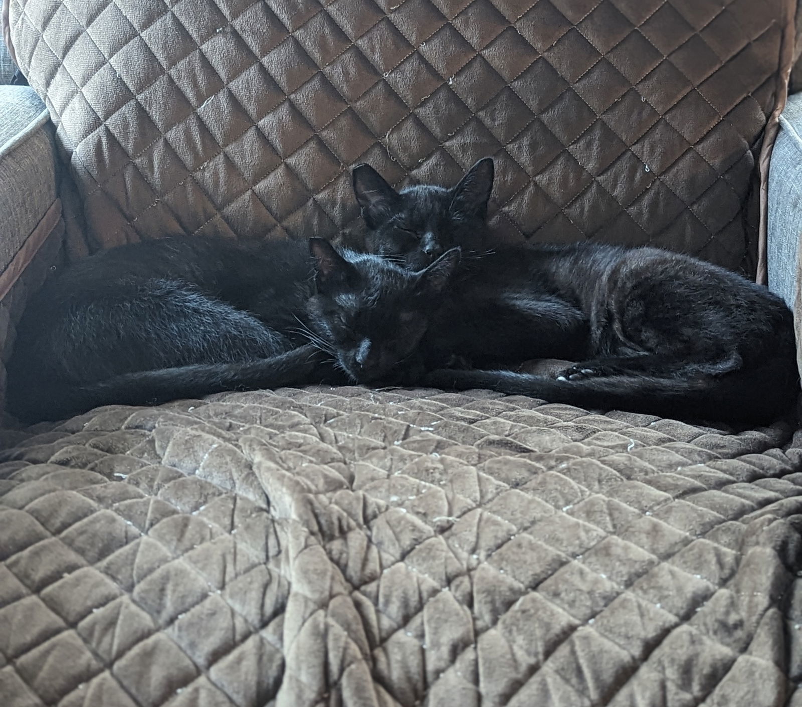 Mary and Winifred