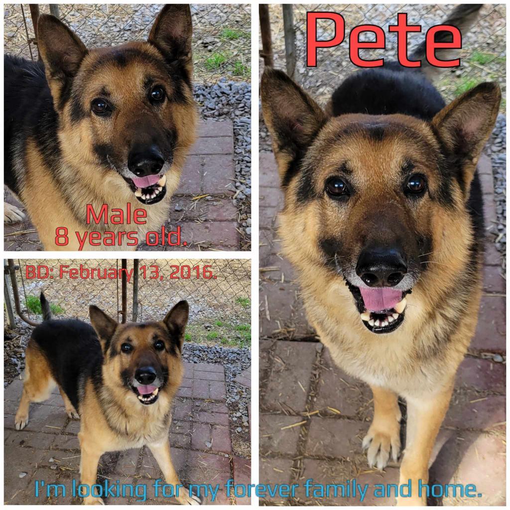 Pete