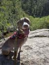 Winston photo 2