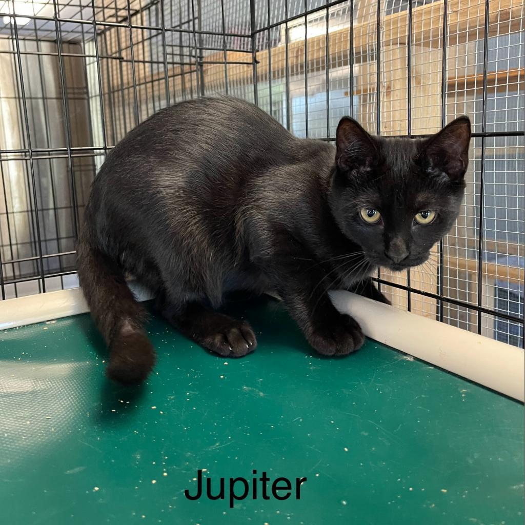 Jupiter