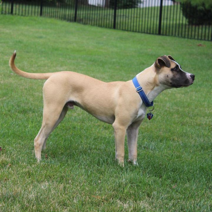 Baxter 5